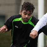 samnahumury_zwaluw_sfb