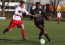 Indeling poulefase KNVB-districtsbeker
